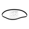 Febi Timing Cam Belt 21910