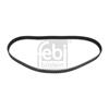 Febi Timing Cam Belt 23411