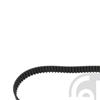 Febi Timing Cam Belt 23411