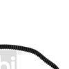 Febi Timing Cam Belt 23455