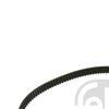 Febi Timing Cam Belt 23528