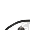 Febi Timing Cam Belt Kit 23530