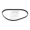 Febi Timing Cam Belt 24186