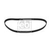 Febi Timing Cam Belt 24197