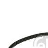 Febi Timing Cam Belt 24363