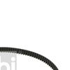 Febi Timing Cam Belt 24363