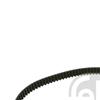 Febi Timing Cam Belt 24364