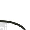 Febi Timing Cam Belt 24364