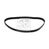 Febi Timing Cam Belt 24465