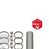 Febi Suspension Kingpin Repair Kit 24656