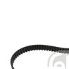 Febi Timing Cam Belt 24811