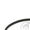 Febi Timing Cam Belt 24813