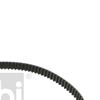 Febi Timing Cam Belt 24813