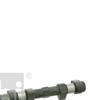 Febi Camshaft 24864