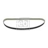 Febi Timing Cam Belt 26198