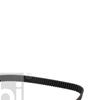 Febi Timing Cam Belt 26282