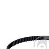 Febi Timing Cam Belt 26464