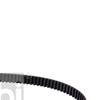 Febi Timing Cam Belt 26464