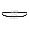 Febi Timing Cam Belt 26808