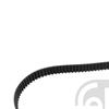 Febi Timing Cam Belt 26900