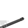 Febi Bonnet Hood Gas Spring 27899