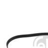 Febi Timing Cam Belt 29270