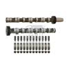 Febi Camshaft Kit 29926