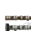 Febi Camshaft Kit 29926