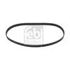 Febi Timing Cam Belt 30979