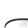 Febi Timing Cam Belt 30979