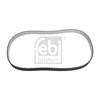 Febi Timing Cam Belt 31725