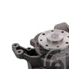 Febi Water Pump 31781