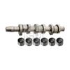 Febi Camshaft Kit 33017