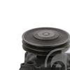 Febi Water Pump 33196