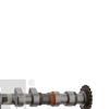 Febi Camshaft Kit 33199