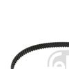 Febi Timing Cam Belt 36069