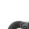 Febi Radiator Cooling Hose 37130