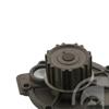 Febi Water Pump 39299