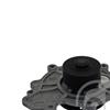 Febi Water Pump 40012