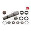 Febi Suspension Kingpin Repair Kit 44165