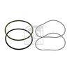 Febi Cylinder Sleeve O Ring Set 44498