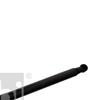 Febi Boot Cargo Area Gas Spring 47110