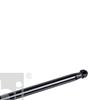 Febi Boot Cargo Area Gas Spring 47116