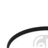 Febi Timing Cam Belt 47820