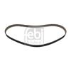 Febi Timing Cam Belt 48289