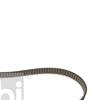 Febi Timing Cam Belt 48289