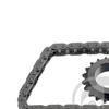 Febi Oil Pump Drive Chain Set 48384