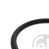 Febi Radiator Cooling Hose 49129