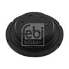 Febi Frost Core Plug 49353