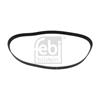 Febi Timing Cam Belt 49364